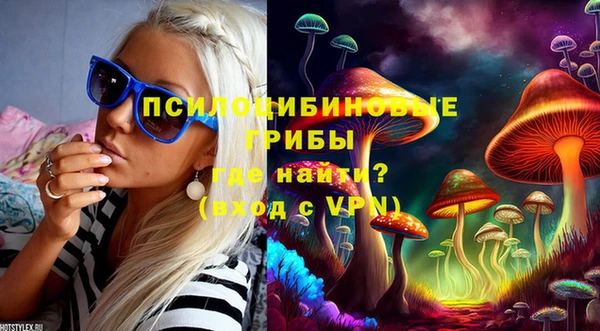 mix Снежногорск