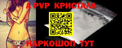 стафф Донецк