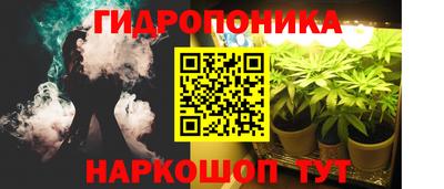 ПСИЛОЦИБИНОВЫЕ ГРИБЫ Донской