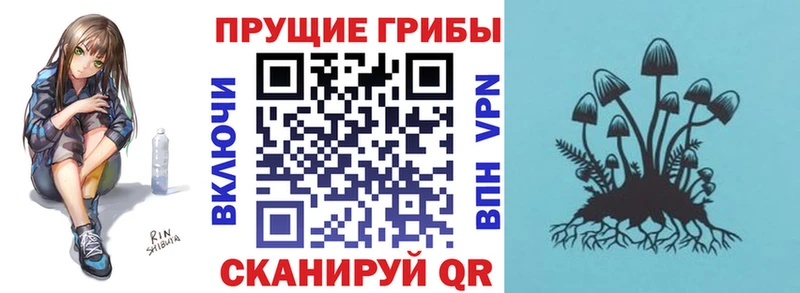 KRAKEN как войти  Набережные Челны  Псилоцибиновые грибы ЛСД 